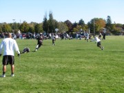 OTFL Gallery Image